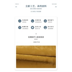 50563 Always on one's mind